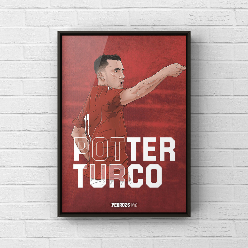 Quadro Potter Turco - Jogador 17
