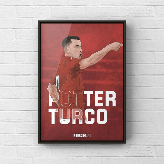 Quadro Potter Turco - Jogador 17