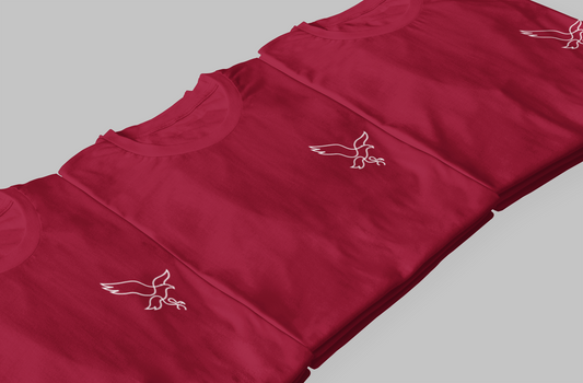 Tshirt Voo da Águia