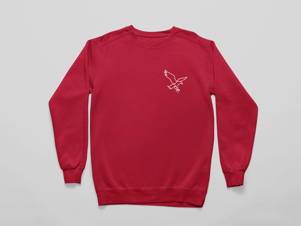 Camisola Criança Voo da Águia