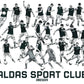Quadro Caldas SC - Plantel completo