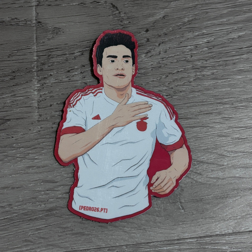 Pack de 6 stickers originais